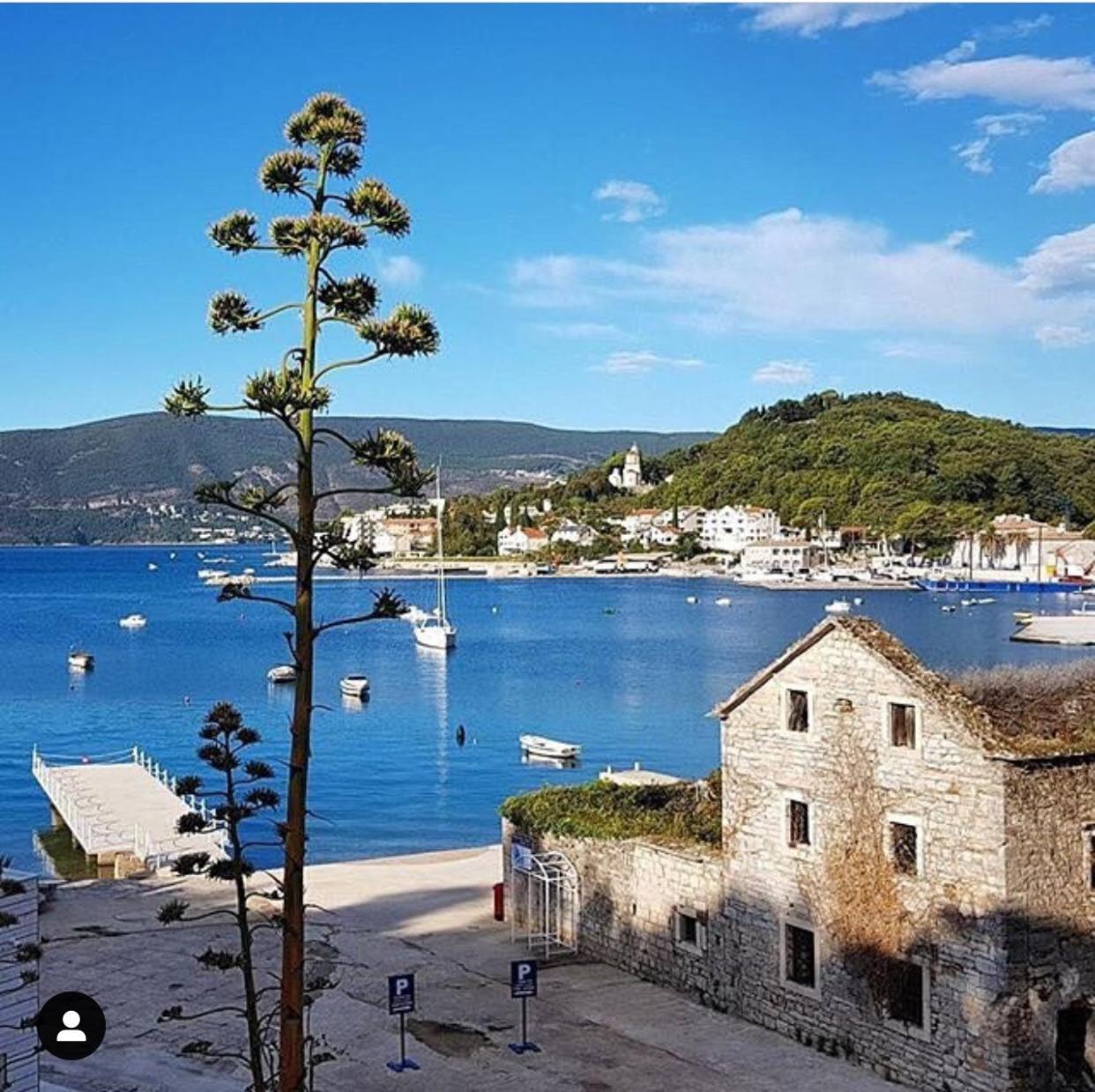 Zvezda Meljine Hotell Herceg Novi Eksteriør bilde